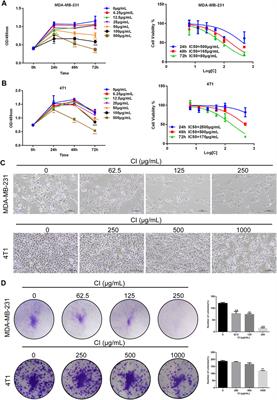 Cinobufacini Injection Inhibits the Proliferation of Triple-Negative Breast Cancer Through the Pin1–TAZ Signaling Pathway